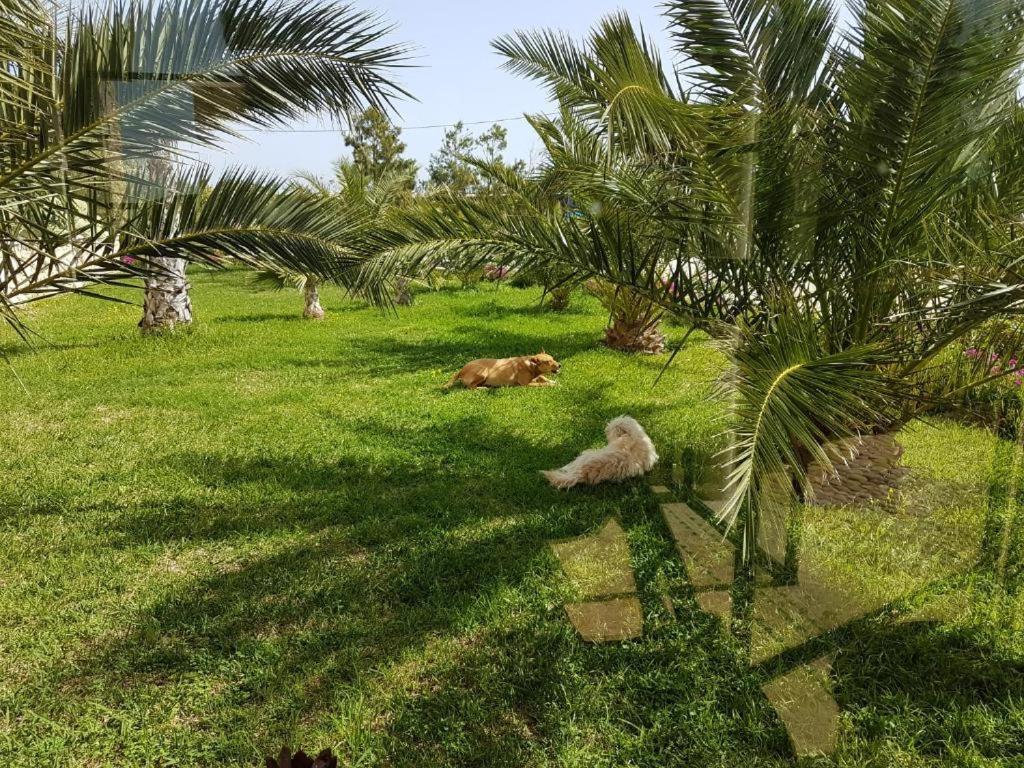 Les Jardins De Mogador Yoga Et Spa Essaouira Extérieur photo