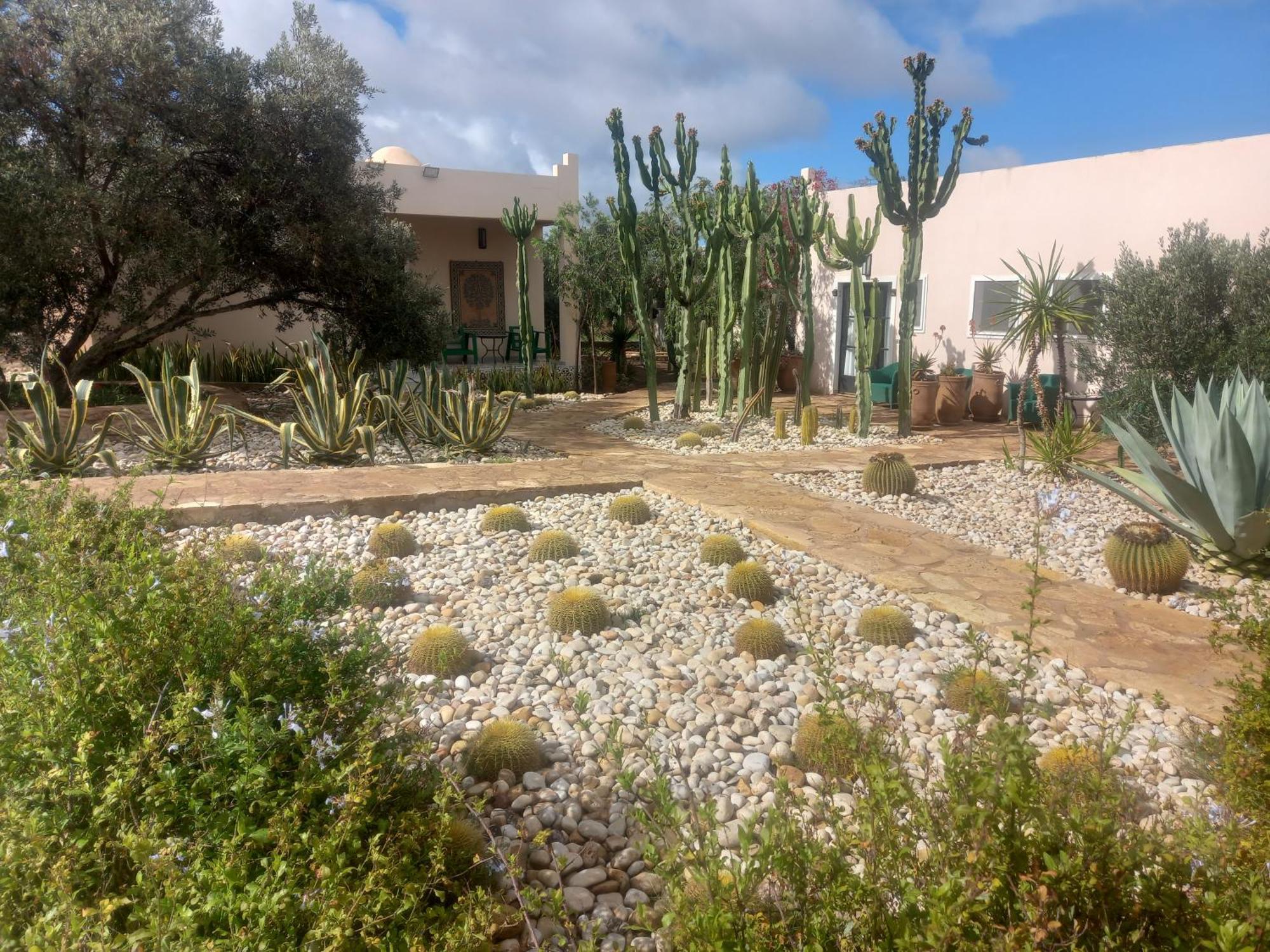 Les Jardins De Mogador Yoga Et Spa Essaouira Extérieur photo